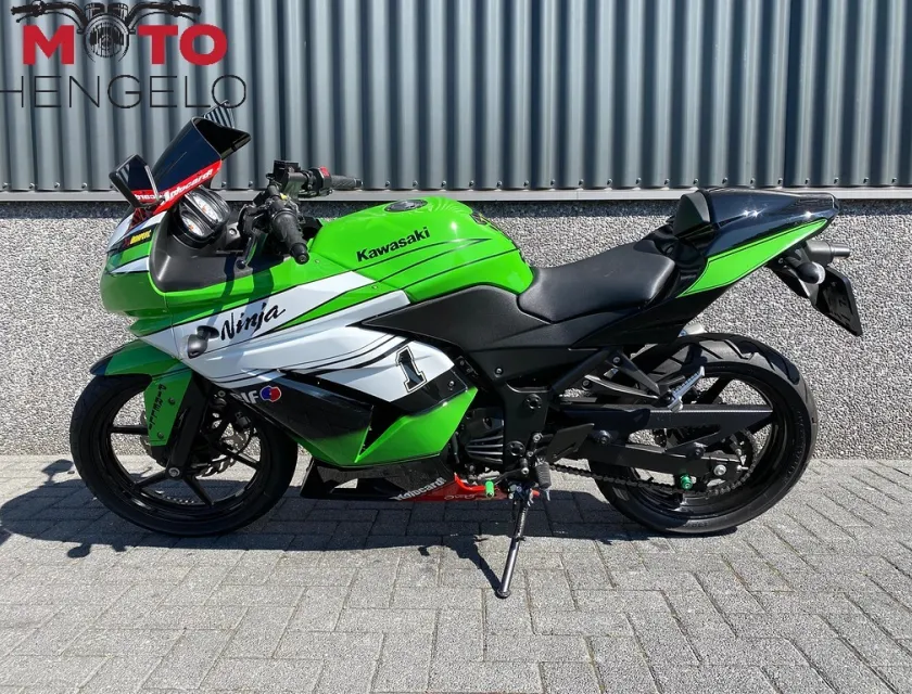 Kawasaki NINJA 250R
